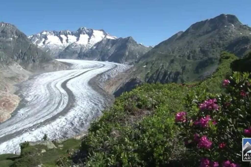 Perle Des Alpes, Bettmeralp, Switzerland Ngoại thất bức ảnh